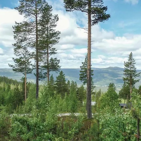 Rendalen Renafjellet Hylla